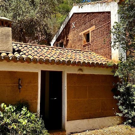 Maison d'hôtes Casas Da Cerca à Troviscais Extérieur photo