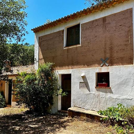 Maison d'hôtes Casas Da Cerca à Troviscais Extérieur photo