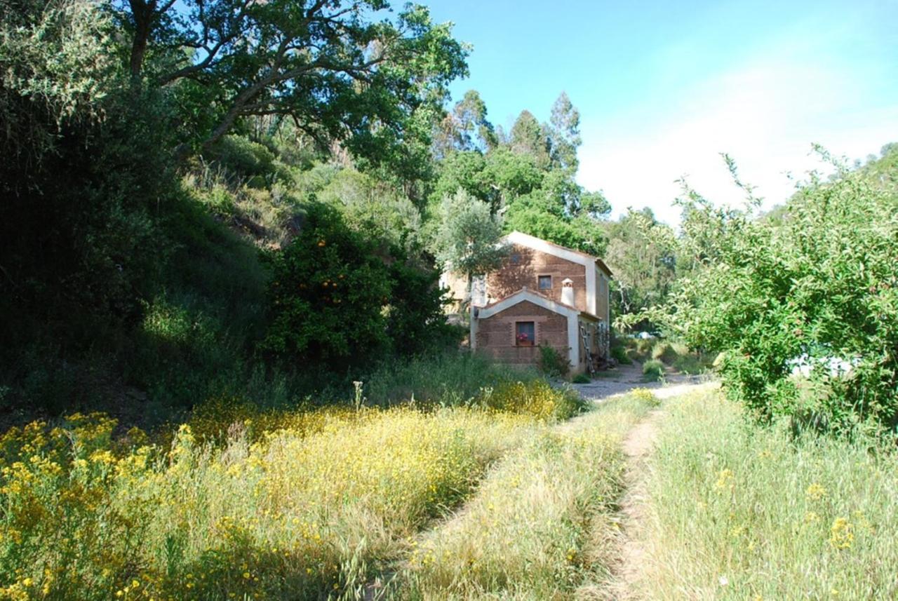 Maison d'hôtes Casas Da Cerca à Troviscais Extérieur photo