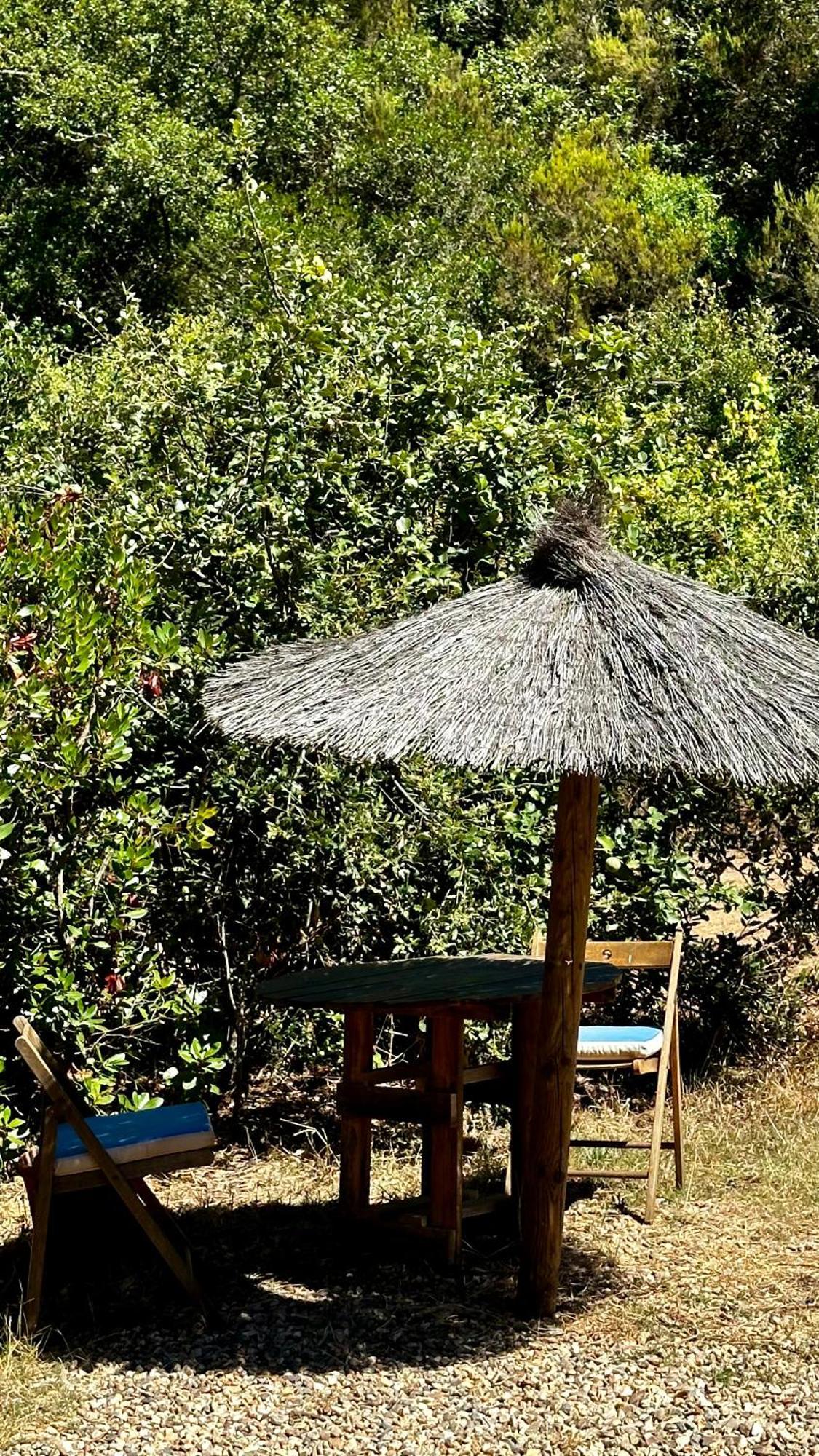 Maison d'hôtes Casas Da Cerca à Troviscais Extérieur photo